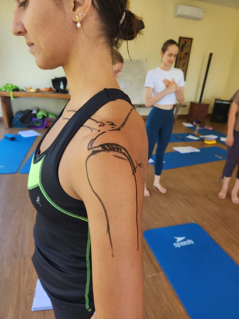 Anatomy & Physiology